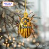 Personalized Dry-Pressing Leptinotarsa Acrylic or Wood Ornament
