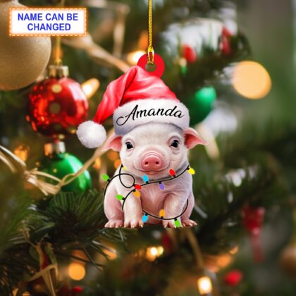 Custom Name Cute Smile Pig Personalized Ornament – Christmas Tree Hanging Decor