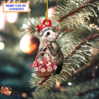 Custom Name Candy Cane Opossum Personalized Ornament – Christmas Ornament
