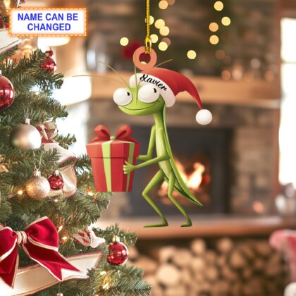 Custom Name Cute Mantis With Santa Hat and A Gift Box Xmas Ornament