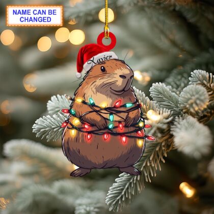 Custom Name Capybara Smile Christmas Lights Personalized Ornament