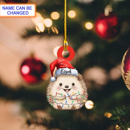 Custom Name Hedgehog Xmas Personalized Ornament – Christmas Tree Hanging Decor