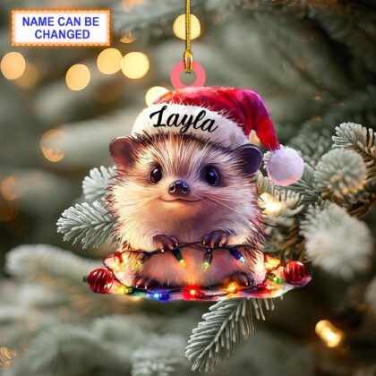 Custom Name Cute Hedgehog Xmas Personalized Ornament – Christmas Tree Hanging Decor