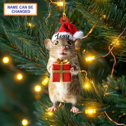 Custom Name Cute Rat with Gift Box Christmas Personalized Ornament