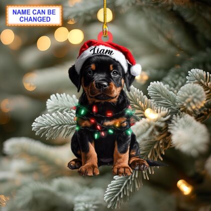 Custom Name Rottweiler Cute Dog With Santa Hat Christmas Lights Ornament