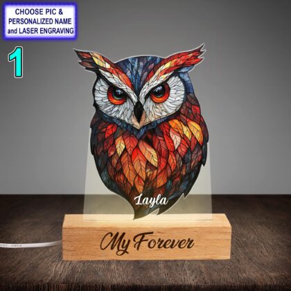 Personalized Colorful Owl Acrylic Night Light with Name Engraving