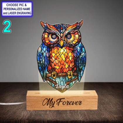 Alternative view of Personalized Colorful Owl Acrylic Night Light with Name Engraving