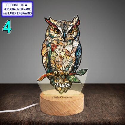 Personalized Colorful Owl Acrylic Night Light with Name Engraving - Image 4