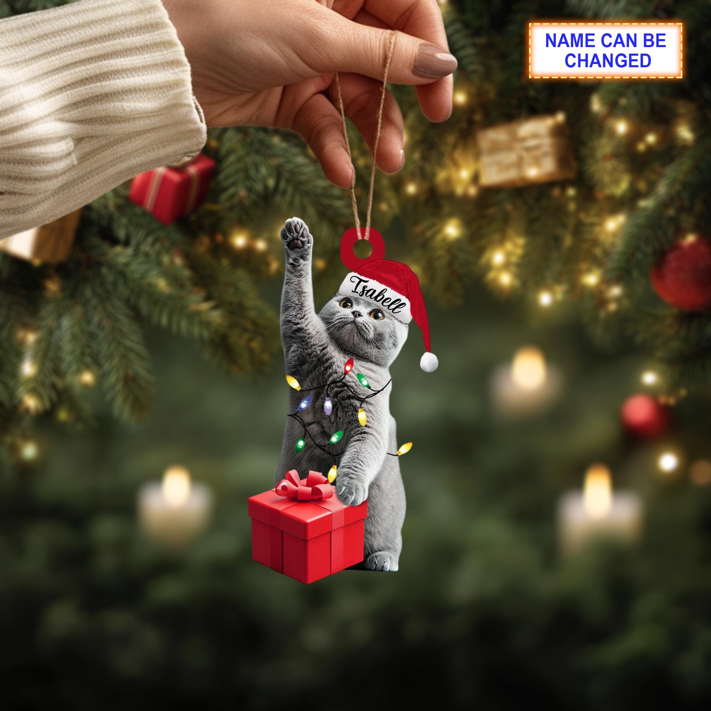 Custom Name British Shorthair Cat With Santa Hat and Christmas Lights - Image 4