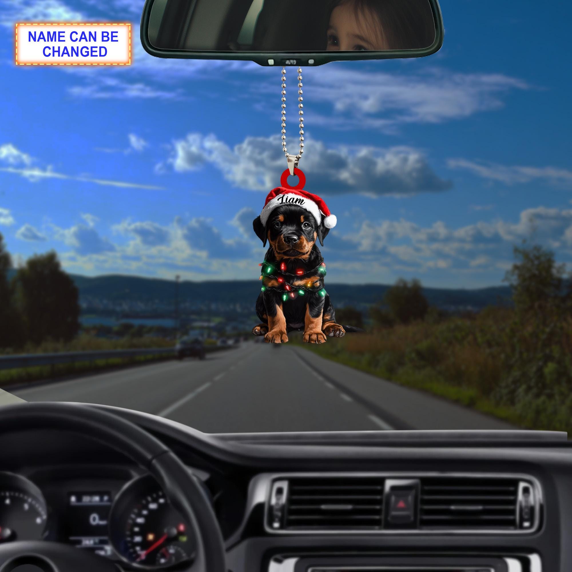 Custom Name Rottweiler Cute Dog With Santa Hat Christmas Lights Ornament - Image 3