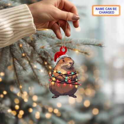 Custom Name Capybara Smile Christmas Lights Personalized Ornament - Image 4