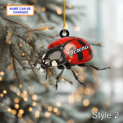 Custom Name Dry Pressing Coccinellidae Personalized Ornament - Image 4