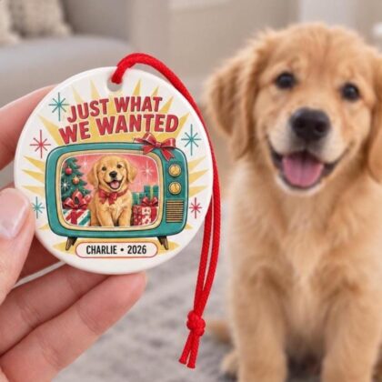 Personalized Pet Ceramic Ornament – Best Gift Ever Retro 50s New Dog or Cat Gift