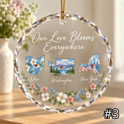 Personalized Family Glass Ornament – Long Distance Family Keepsake - Image 3